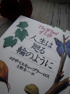 人生は廻る輪のように まさかり半島日記