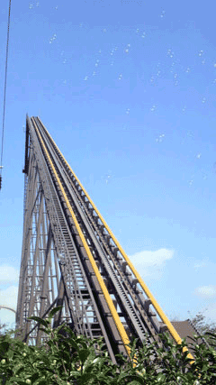 c0127670_0362225.gif