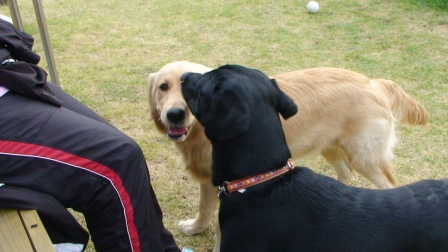 f0189870_1454774.jpg