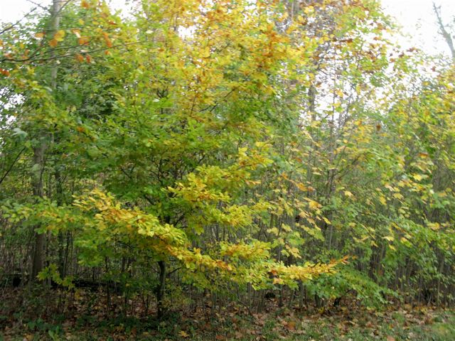 f0119071_06555.jpg