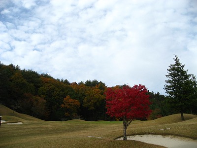 e0184077_0584997.jpg