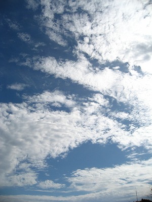 e0184077_111257.jpg