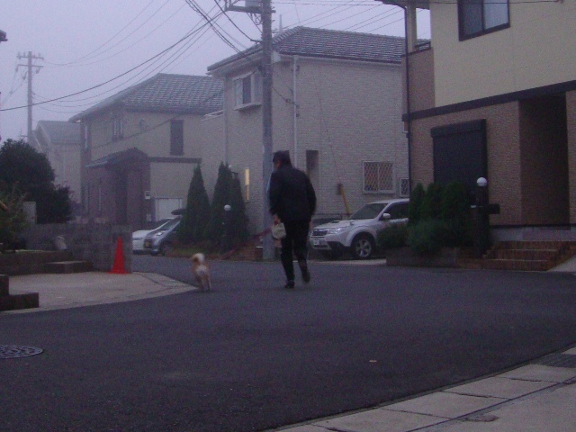 かぼちゃん、大丈夫!?_a0126590_01561.jpg