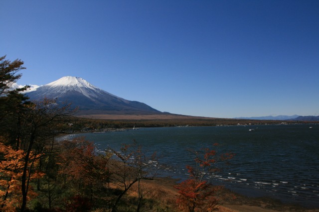 b0161093_0463871.jpg