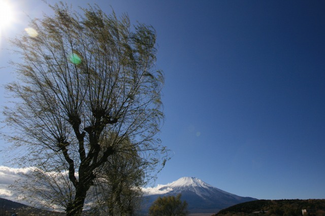 b0161093_0485827.jpg