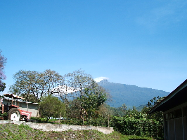 f0204695_26178.jpg