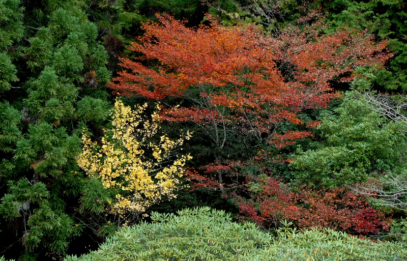 e0112796_9232945.jpg
