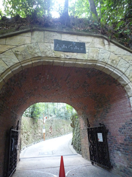 f0191500_759253.jpg