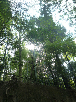 f0191500_804364.jpg