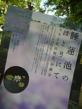 f0191500_815941.jpg