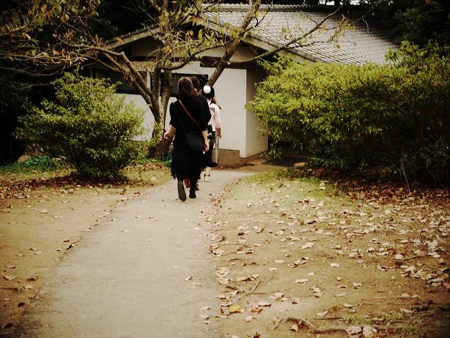 Autumn color_c0198903_2046777.jpg