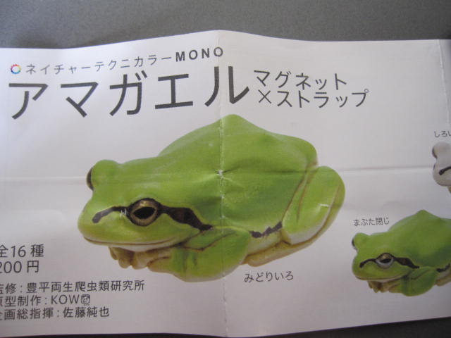 ブシュカ☆劇場 ・かえるハンター・_c0183104_15272820.jpg