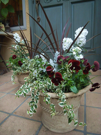 冬の寄せ植え ほんの小さな庭 冬の寄せ植え ほんの小さな庭