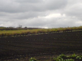 d0131505_2203042.jpg