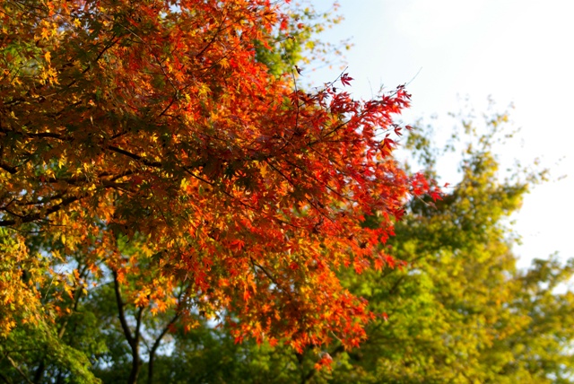 e0138005_22391481.jpg