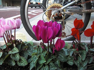 a0060806_16414333.jpg