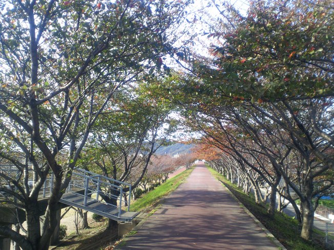 アレテクメモ 11/11_d0077106_19503153.jpg