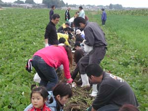 b0076710_10543598.jpg