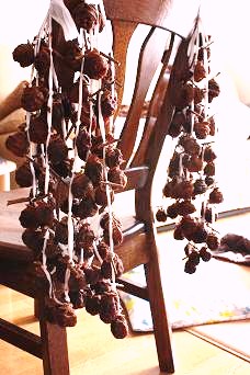 c0164212_941330.jpg