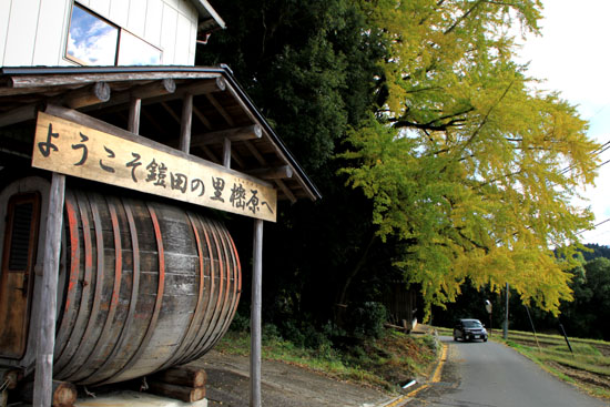 越畑の樒原_e0048413_201256.jpg