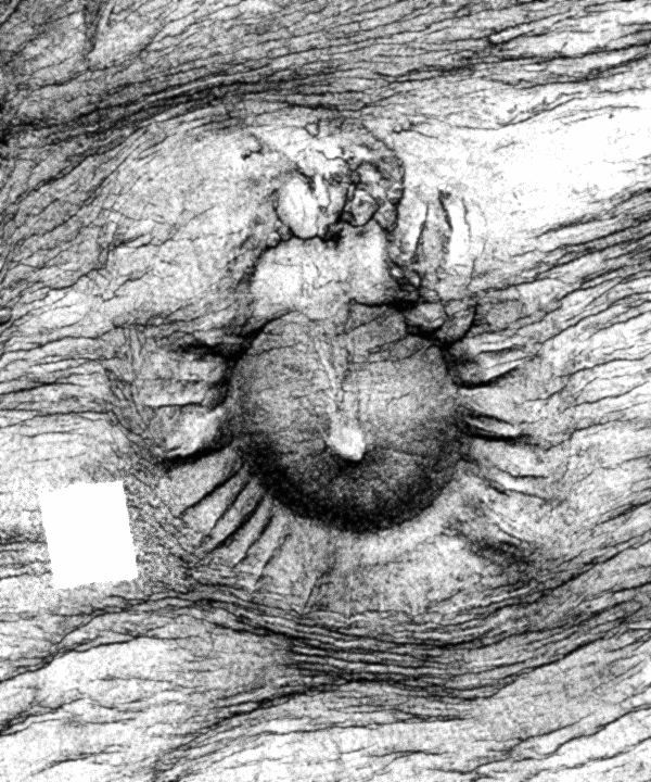 e0171614_23541354.gif