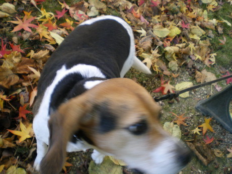 c0124619_111333.jpg