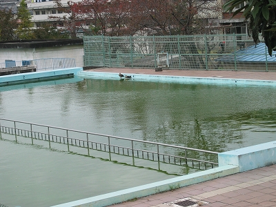 f0203324_20112561.jpg