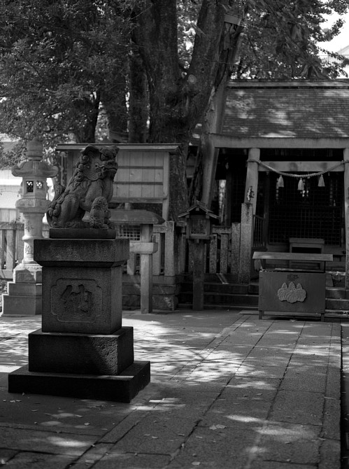 2009-11-13　四間道を守る小さな神社にて_c0136330_21163639.jpg