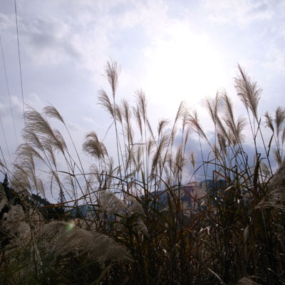 c0182231_1053265.jpg