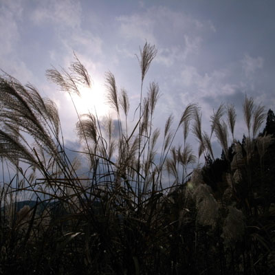 c0182231_1064517.jpg