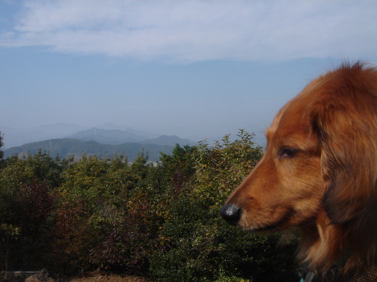 e0120131_16443116.jpg