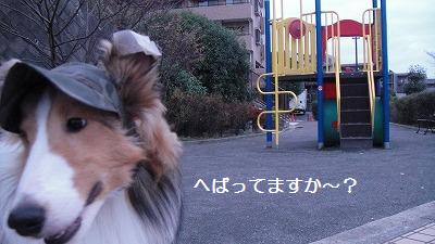 4つの公園♪_e0195743_17524238.jpg