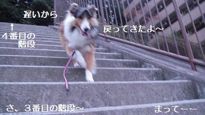 4つの公園♪_e0195743_17525679.jpg