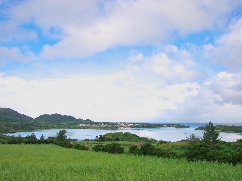 f0002946_175876.jpg