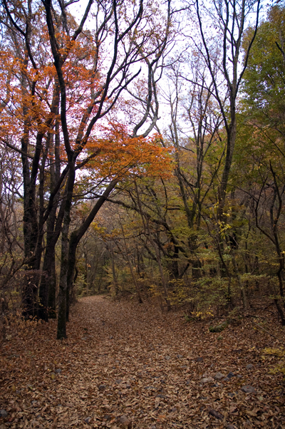 強制登山_b0016049_0323640.jpg