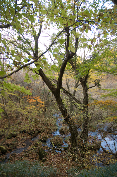 強制登山_b0016049_0352321.jpg