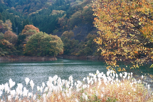 紅葉前線がやって来るのが待てず、迎えに行きました。_c0217255_18574110.jpg