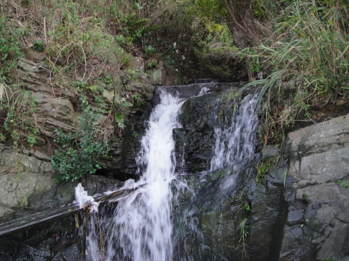 c0108460_17142633.jpg