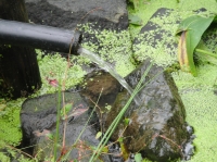 c0108460_17185397.jpg