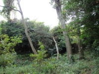 c0108460_17244366.jpg