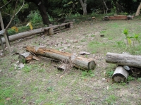 c0108460_17254729.jpg