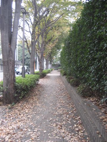 a0123465_0513135.jpg