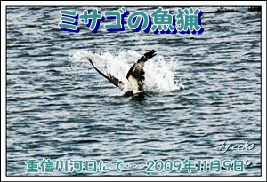 f0104569_2249484.gif