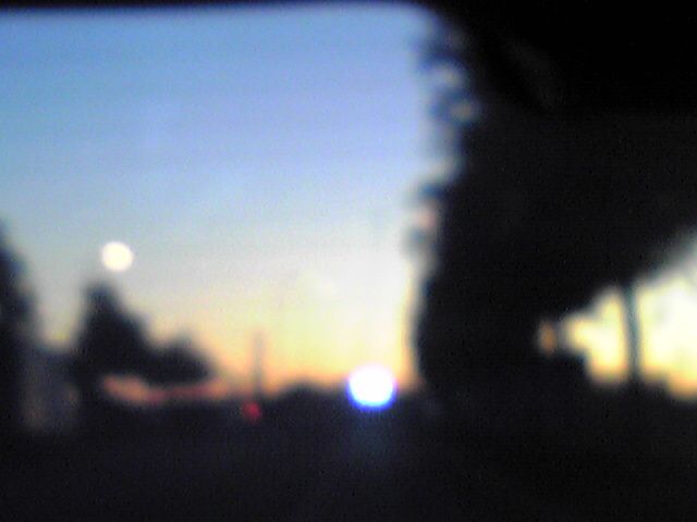 d0045374_835165.jpg
