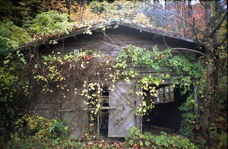 c0054876_1655531.jpg