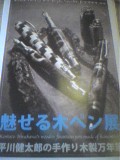 魅せるペン展  平川健太郎の手作り木製万年筆_c0213979_133357.jpg