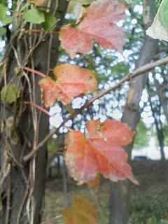 c0217993_220351.jpg