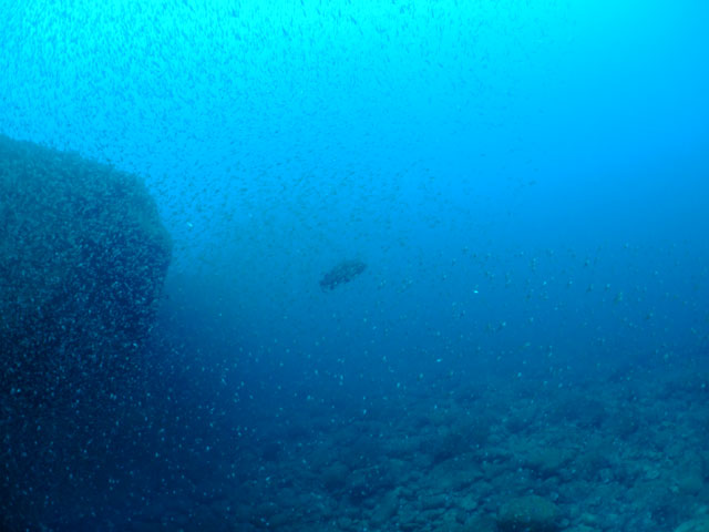 f0053895_21563079.jpg