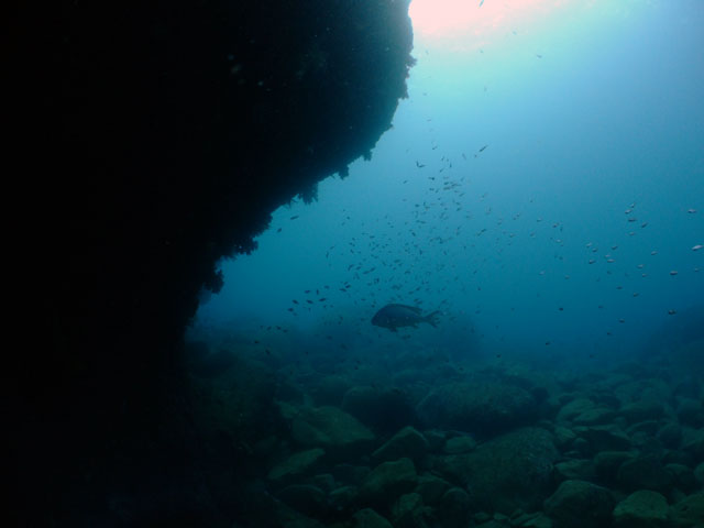 f0053895_22142397.jpg
