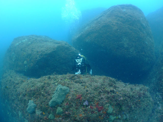 f0053895_224182.jpg